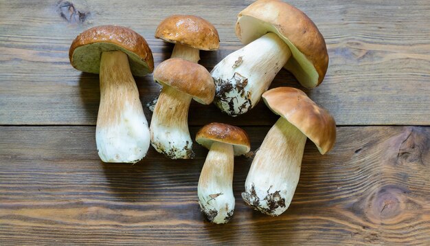 Cosecha fresca de setas porcini en una mesa de madera Resultado afortunado de la recolección de setas