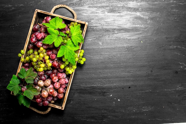 Cosecha fresca de uvas rojas y verdes en bandeja en pizarra negra.