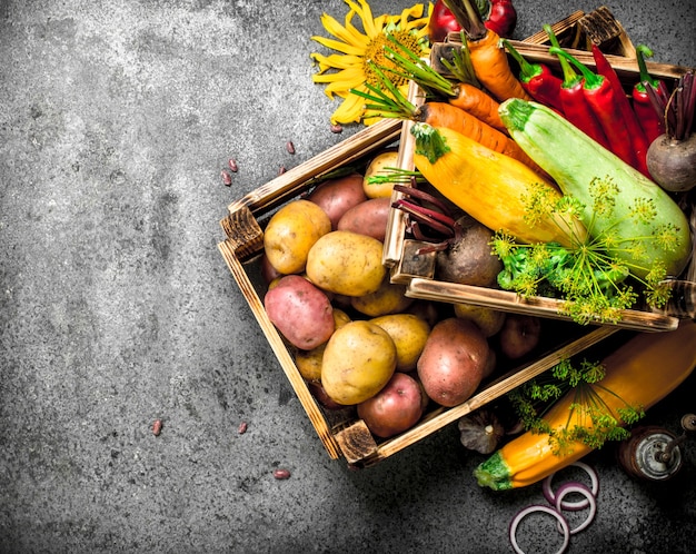 Cosecha fresca de verduras en una caja vieja