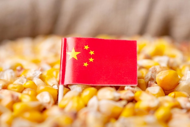 Cosecha de grano de maíz en concepto de China