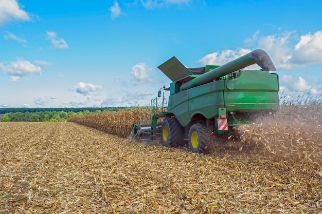 Cosecha de maíz mediante cosechadora, seguida de descarga y transporte de grano.