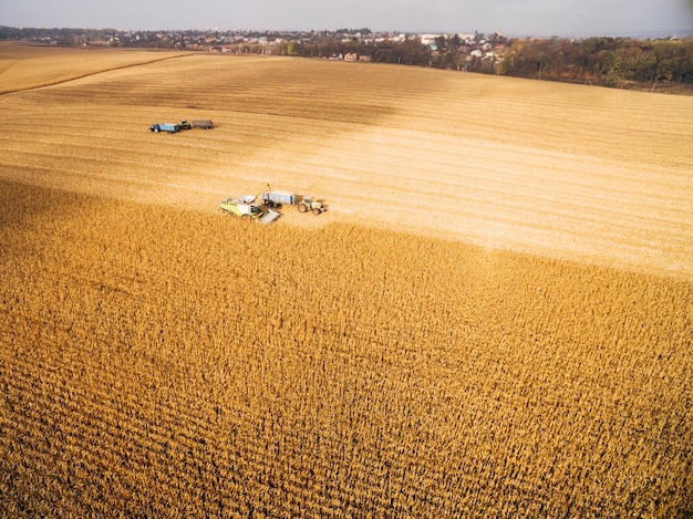Cosecha de maíz en la vista aérea de campo grande verde sobre cosechadoras automatizadas
