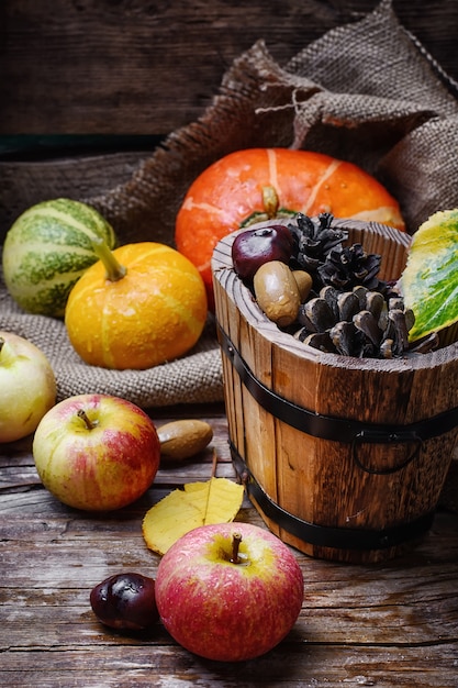 Cosecha otoñal de manzanas y calabazas.