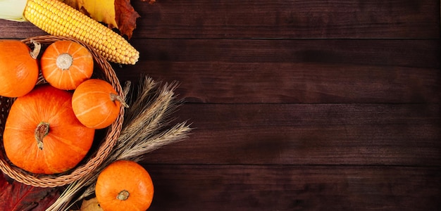 Cosecha de otoño y Acción de Gracias Calabazas maduras maíz y trigo sobre fondo de madera Formato de pancarta