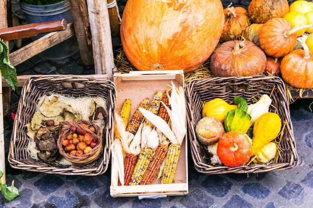 Cosecha de otoño. Bodegón de mercado. verduras en cestas rústicas