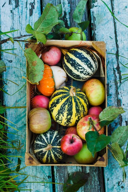 Cosecha de otoño de calabaza decorativa, manzanas en una caja, sobre un fondo azul de madera