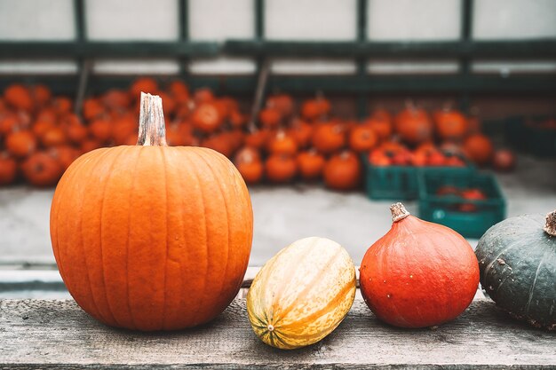 Cosecha de otoño de calabazas Pila de calabazas naranjas en el mercado agrícola o festival de temporada