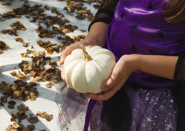 Foto cosecha de otoño las manos de los niños sostienen una pequeña calabaza blanca.