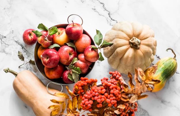 Cosecha de otoño manzanas rojas maduras calabazas calabacines en una vista superior de fondo de mármol claro