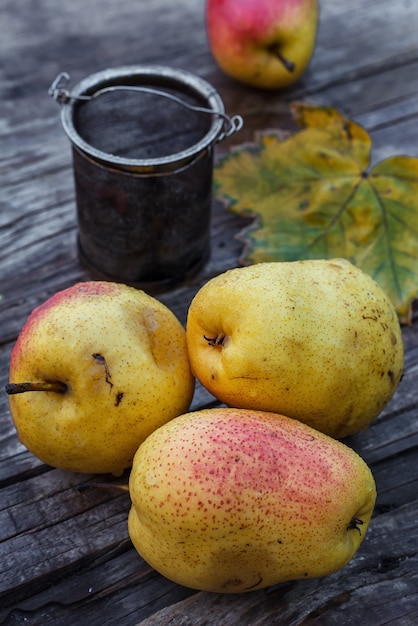 Foto cosecha de otoño de peras