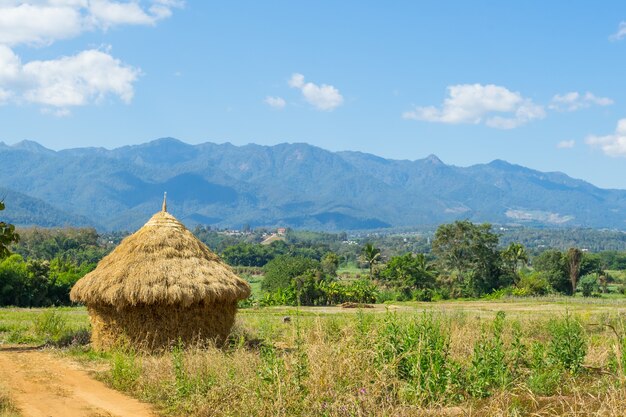 La cosecha de paja parece una cabaña en Pai, Tailandia