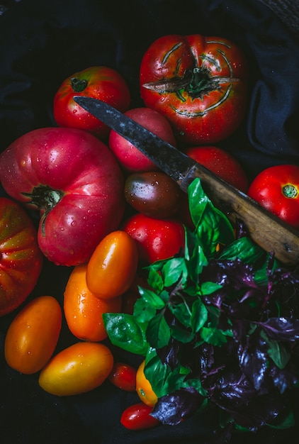 Foto cosecha de tomates coloridos solo parte de los tomates en foco