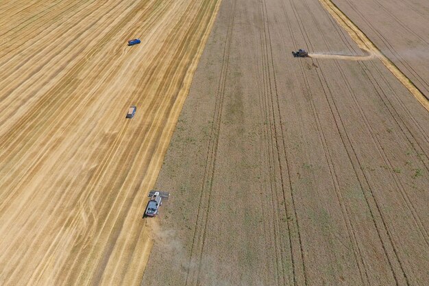 Foto la cosecha de trigo cosechadora