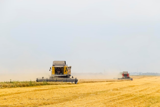 Foto la cosecha del trigo con una cosechadora