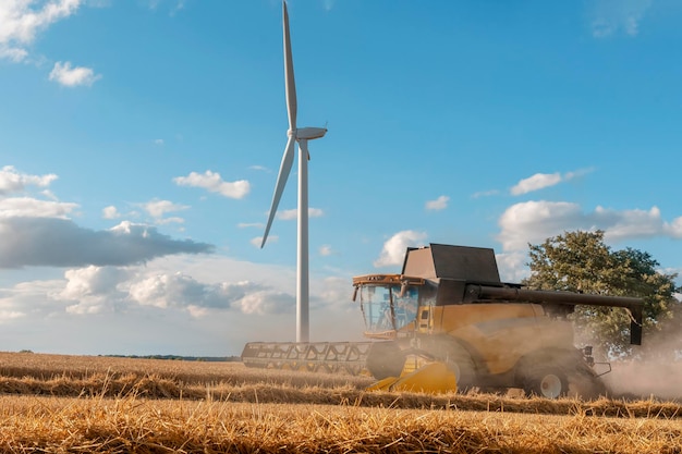 Cosecha de trigo en la temporada de verano por una cosechadora moderna Agricultores asegurando el suministro de alimentos