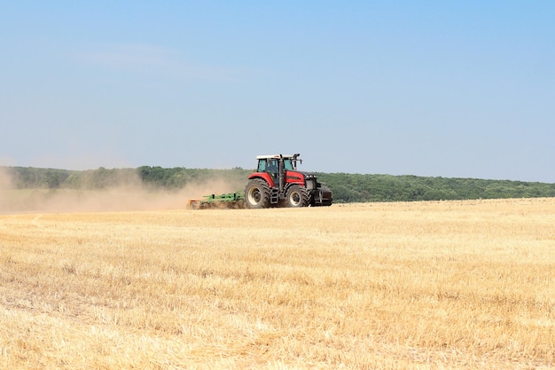 Cosecha de trigo en un tractor en el campo de verano Agricultura