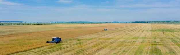 Cosecha de trigo en verano Dos cosechadoras trabajando en el campo Cosechadora máquina agrícola recogiendo trigo dorado maduro en el campo Vista desde arriba