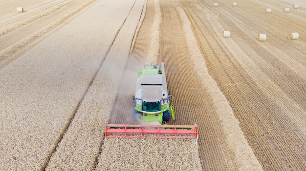 Cosecha de trigo en verano. Máquina segador trabajando en el campo.