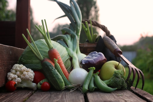 Cosecha de vegetales frescos naturaleza al aire libre