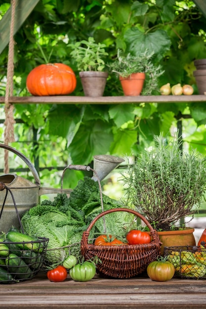 Cosecha de verano en el jardín con verduras y frutas.