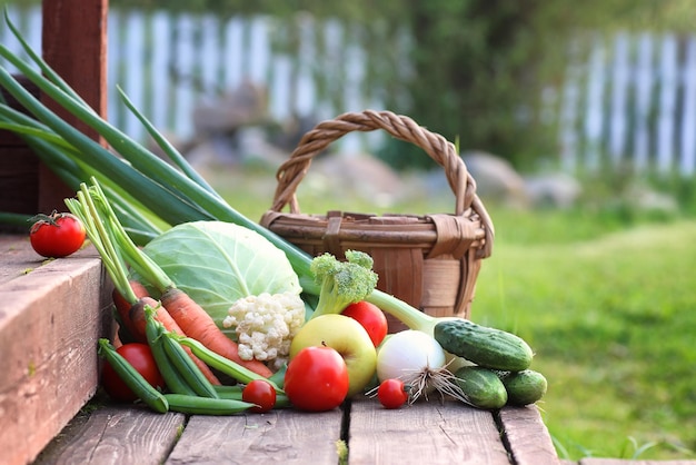 cosecha de verduras frescas en la naturaleza al aire libre