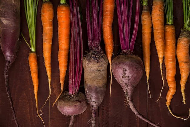 Cosecha de verduras de otoño por concepto de Acción de Gracias