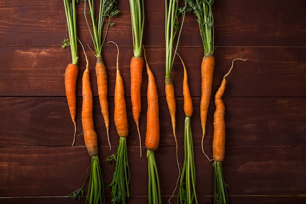 Cosecha de verduras de otoño por concepto de Acción de Gracias