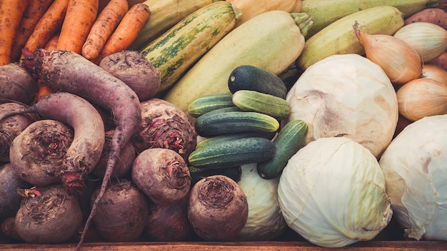 Cosecha de verduras de otoño Tonificado retro