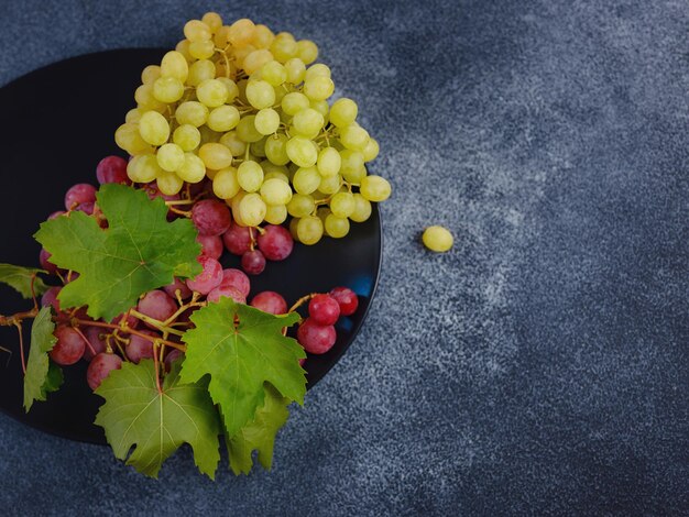 La cosecha de los viñedos en la temporada de otoño