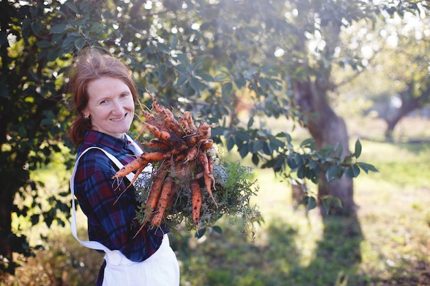 Cosecha de zanahorias. Niña feliz recoge zanahorias en el jardín