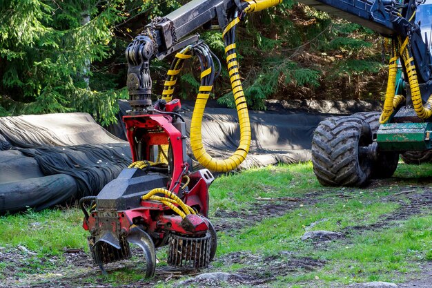 La cosechadora en un bosque Cosechadora sobre ruedas para aserrar árboles y talar bosques