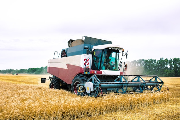 Una cosechadora con cabina con aire acondicionado recolecta avena de la granja.