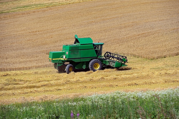 Cosechadora en el campo elimina la cosecha de trigo