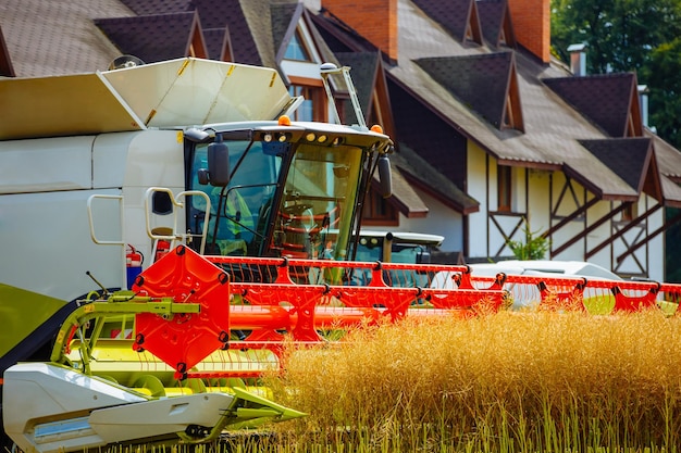 Cosechadora en un campo de grano durante una cosecha caliente Tractor y cosechadora en el momento de la cosecha El sector agrícola