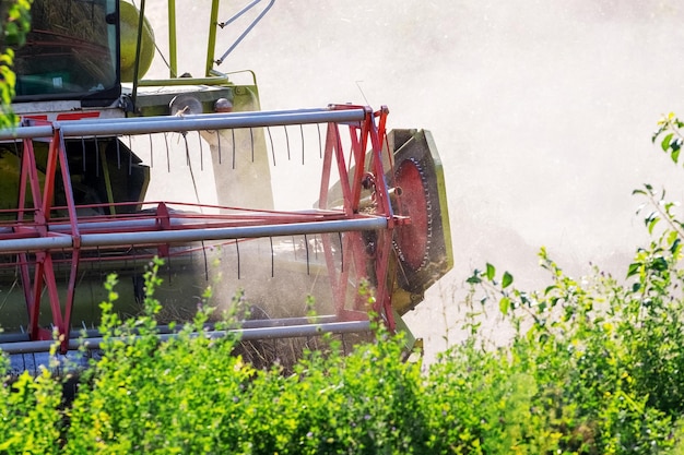 La cosechadora en el campo trilla la cosecha de trigo Cosechadora de cerca