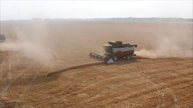 Foto cosechadora en el campo unidad de máquina cosechadora roja en la cosecha de grano de campo rural en una suma soleada