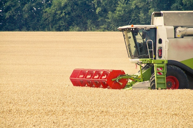 Foto la cosechadora en el campo