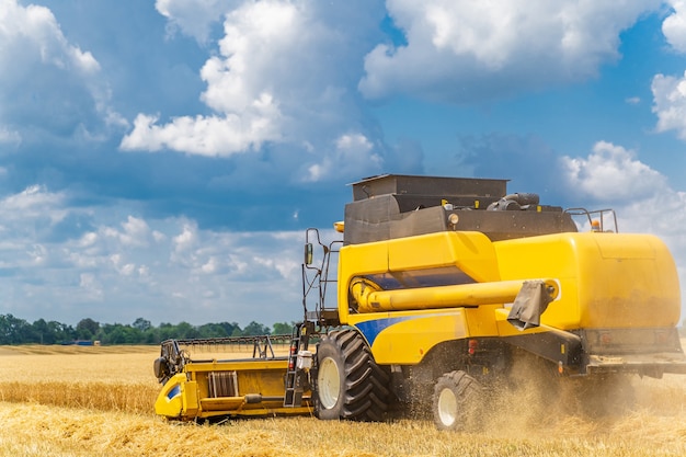 Foto cosechadora de cereales en un día soleado. campo amarillo con grano. trabajos de técnica agrícola en campo.