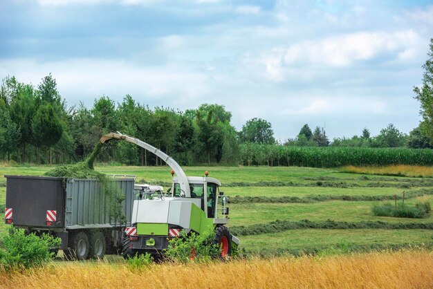 Foto la cosechadora combinada en el campo agrícola