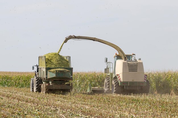 Cosechadora de corte de ensilaje y remolque de llenado en el campo Agricultura