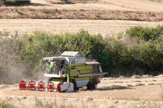 Cosechadora cosechadora en un campo de cereales