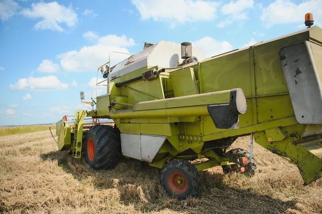 Cosechadora cosechadora cosecha trigo maduro agricultura