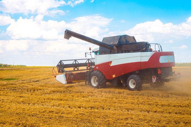 Una cosechadora se encuentra en un campo después de cosechar trigo en un soleado día de otoño