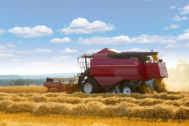 Foto la cosechadora es de grano cosechado a granel.