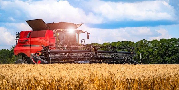 Cosechadora de grano rojo en un día soleado Campo amarillo con grano Trabajos técnicos agrícolas en el campo Primer plano