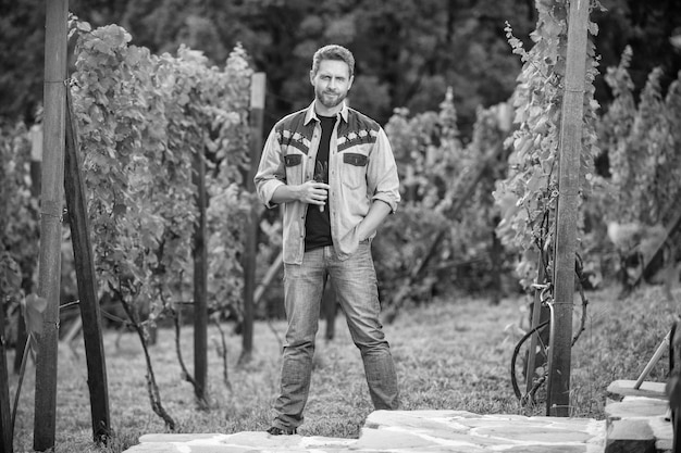 Cosechadora de hombre en viticultor de cosecha de verano con tijeras de jardín agricultor viticultor en bodega