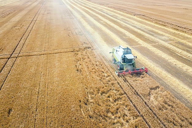 Cosechadora trabajando en un campo de trigo. Vista aérea de la cosechadora.