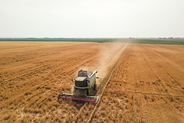 Cosechadora trabajando en un campo de trigo. Vista aérea de la cosechadora.