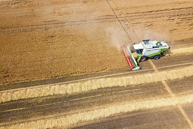 Cosechadora trabajando en un campo de trigo. Vista aérea de la cosechadora.