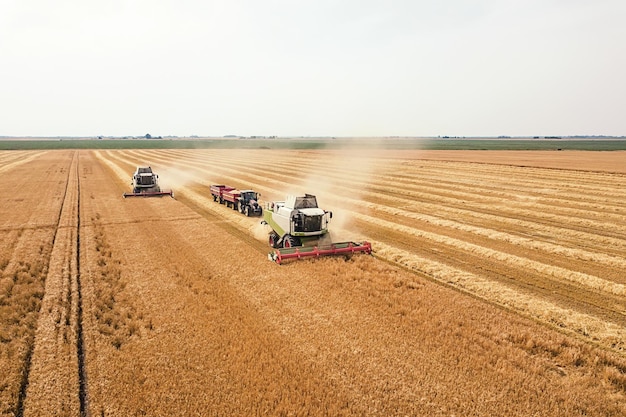 Cosechadora trabajando en un campo de trigo. Vista aérea de la cosechadora.